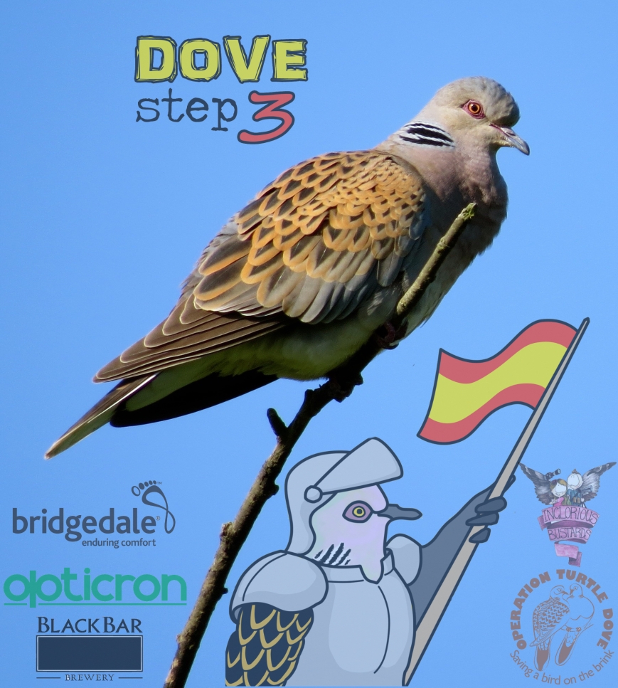 dove-step-3-sponsors